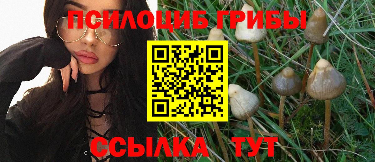 Псилоцибиновые грибы прущие грибы Кинель