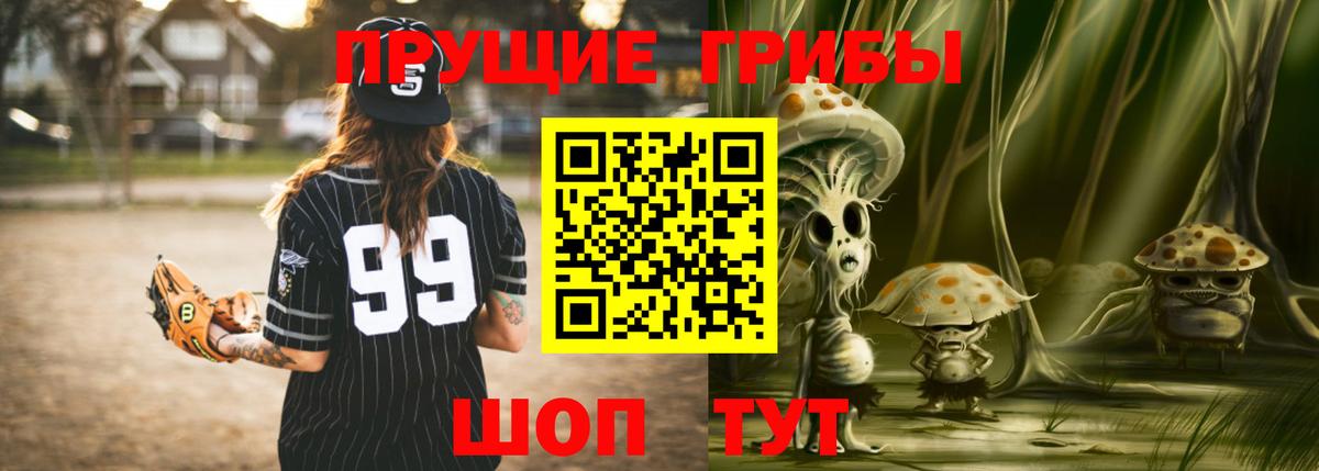 купить наркотик  Вход с VPN  Кинель  Псилоцибиновые грибы Cubensis 